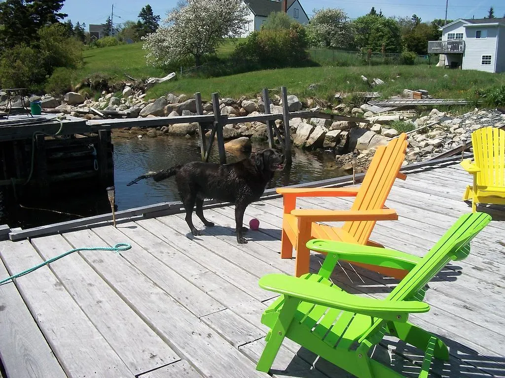 Sal'S Bed And Breakfast By The Sea Herring Cove 4*,  Canada